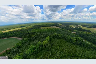10600 US Highway 80 E, Brooklet, GA 30415 - Photo 5