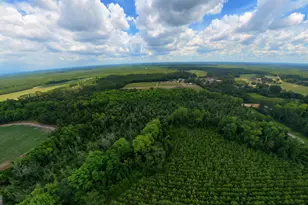 10600 US Hwy 80 E, Brooklet, GA 30415 - Photo 5