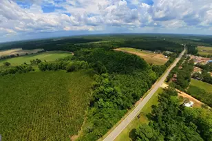 10600 US Hwy 80 E, Brooklet, GA 30415 - Photo 17