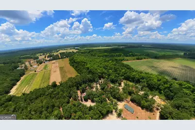 10600 US Highway 80 E, Brooklet, GA 30415 - Photo 15