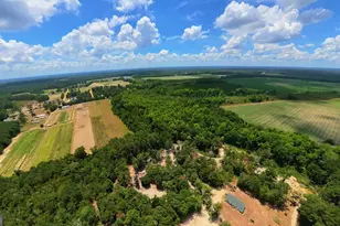10600 US Hwy 80 E, Brooklet, GA 30415 - Photo 15