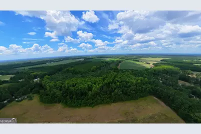 10600 US Highway 80 E, Brooklet, GA 30415 - Photo 9
