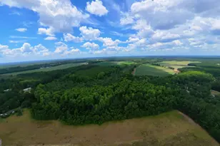 10600 US Hwy 80 E, Brooklet, GA 30415 - Photo 9