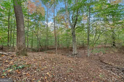 0 Ammons Drive, Waleska, GA 30183 - Photo 1