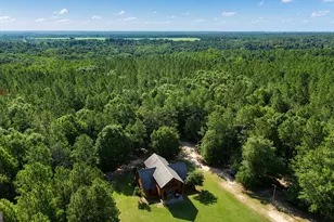 1895 Tv Tower Rd, Parrott, GA 39877 - Photo 29