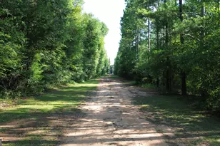 1895 Tv Tower Rd, Parrott, GA 39877 - Photo 35