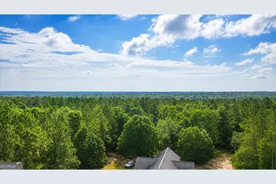 1895 Tv Tower Road, Parrott, GA 39877 - Photo 31