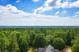 1895 Tv Tower Rd, Parrott, GA 39877 - Photo 31