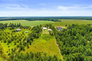 762 Old McLeod Bridge Rd, Adrian, GA 31002 - Photo 61