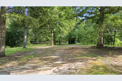 222 Chigger Ridge Road, Carnesville, GA 30521 - Photo 35
