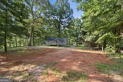 222 Chigger Ridge Road, Carnesville, GA 30521 - Photo 33