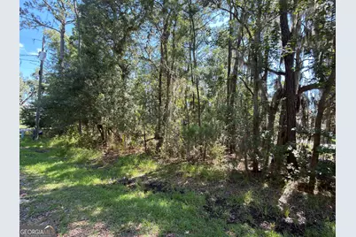 0 Mallard Pond Road, Midway, GA 31320 - Photo 3