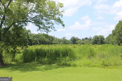 0 Albany Avenue, Waycross, GA 31503 - Photo 3