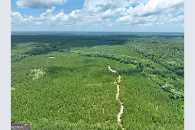 0 Everett Wood Road, Ideal, GA 31041 - Photo 3