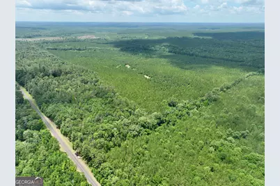 0 Everett Wood Road, Ideal, GA 31041 - Photo 37