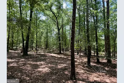 0 Everett Wood Road, Ideal, GA 31041 - Photo 13