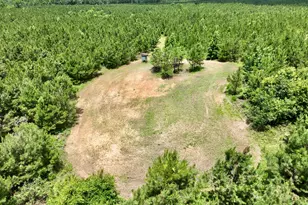 0 Everett Wood Rd, Ideal, GA 31041 - Photo 1