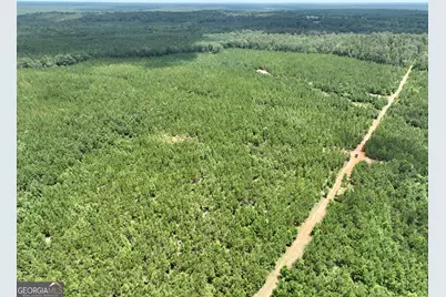 0 Everett Wood Road, Ideal, GA 31041 - Photo 31