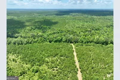 0 Everett Wood Road, Ideal, GA 31041 - Photo 27