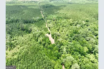 0 Everett Wood Road, Ideal, GA 31041 - Photo 29