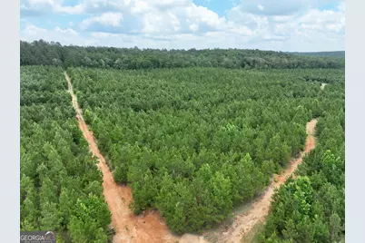 0 Everett Wood Road, Ideal, GA 31041 - Photo 25
