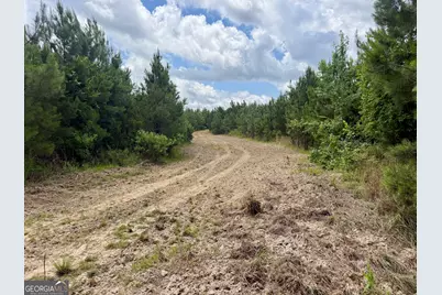 0 Everett Wood Road, Ideal, GA 31041 - Photo 11