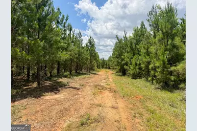 0 Everett Wood Road, Ideal, GA 31041 - Photo 43