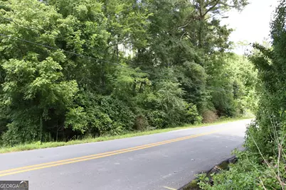 751 Martin Street, Summerville, GA 30747 - Photo 29