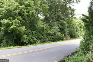 751 Martin St, Summerville, GA 30747 - Photo 29
