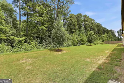 357 Caledonia Court, Peachtree City, GA 30269 - Photo 43