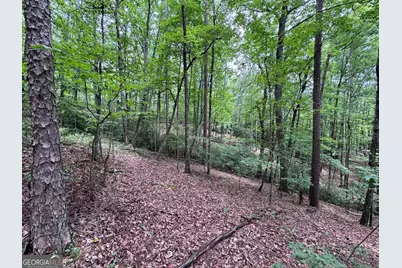 0 Owltown Road, Ellijay, GA 30536 - Photo 7