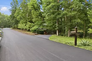 161 Arbor Way, Blue Ridge, GA 30513 - Photo 65
