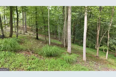 161 Arbor Way, Blue Ridge, GA 30513 - Photo 73
