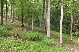 161 Arbor Way, Blue Ridge, GA 30513 - Photo 73