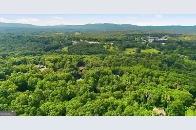 161 Arbor Way, Blue Ridge, GA 30513 - Photo 83