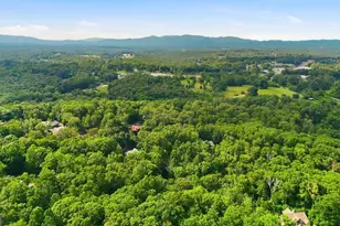 161 Arbor Way, Blue Ridge, GA 30513 - Photo 83