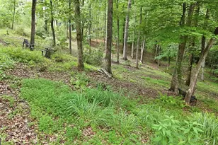 161 Arbor Way, Blue Ridge, GA 30513 - Photo 49