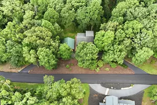 161 Arbor Way, Blue Ridge, GA 30513 - Photo 57