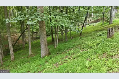 161 Arbor Way, Blue Ridge, GA 30513 - Photo 69