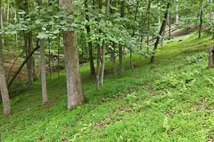 161 Arbor Way, Blue Ridge, GA 30513 - Photo 69