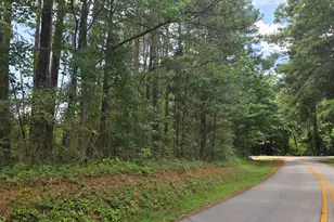 0 Wehunt Rd, Covington, GA 30016 - Photo 1