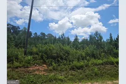 0 Wehunt Road, Covington, GA 30016 - Photo 7