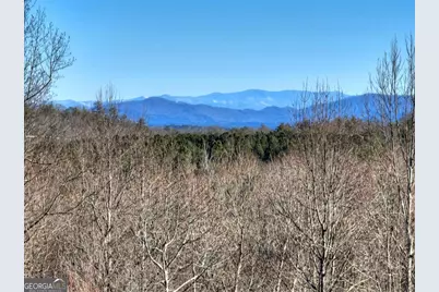 Lt 131 &amp; 132 Pack Creek Road, Blue Ridge, GA 30513 - Photo 13