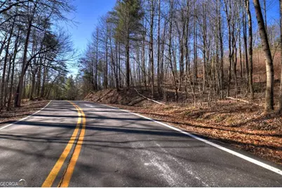 Lt 131 &amp; 132 Pack Creek Road, Blue Ridge, GA 30513 - Photo 17