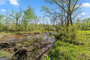 153 Trackrock Gap Rd, Blairsville, GA 30512 - Photo 51