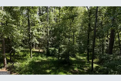 115-Lot 101/ Pa Shoal Creek Dr, Sharpsburg, GA 30277 - Photo 3