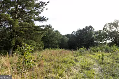 1870 Double Springs Church Road, Monroe, GA 30656 - Photo 5