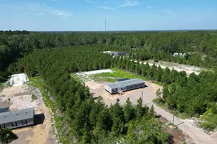 1265 Bradwell Dunham Rd NE, Ludowici, GA 31316 - Photo 41