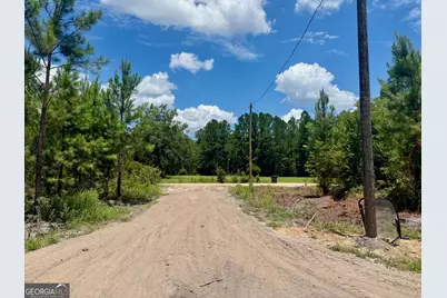 1265 Bradwell Dunham Road NE, Ludowici, GA 31316 - Photo 43