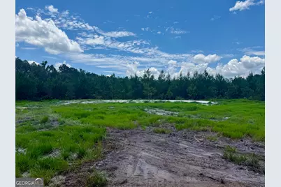 1265 Bradwell Dunham Road NE, Ludowici, GA 31316 - Photo 39